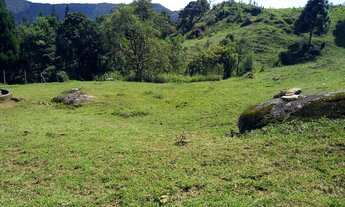Imagem 2: Clima Frio, Margem do Asfalto, Excelente para Comércio