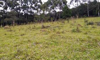 Imagem 5: Clima Frio, Próximo ao asfalto e Beleza Natural