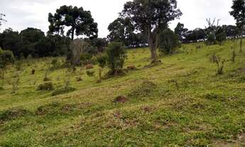 Imagem: Clima Frio, Próximo ao asfalto e Beleza