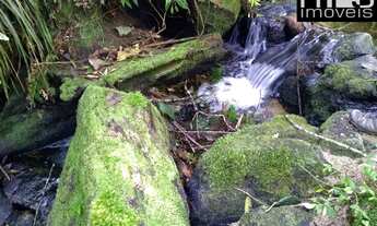 Imagem: Córrego de Água Pura e Cristalina em Meio