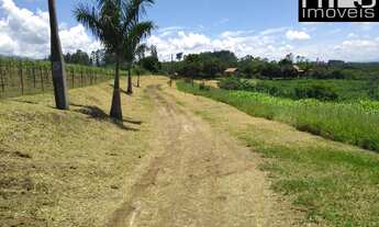 Imagem 5: Topografia Excelente, Vista da Serra, 450 m do Asfalto em Local Privilegiado