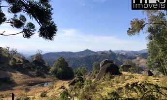 Imagem 5: Reserva Particular da Mata Atlântica com Nascentes e Muita Flora e Fauna Nativas