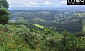 Imagem 7: Reserva Particular da Mata Atlântica com Nascentes e Muita Flora e Fauna Nativas