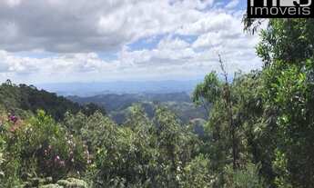 Imagem 3: Reserva Particular da Mata Atlântica com Nascentes e Muita Flora e Fauna Nativas