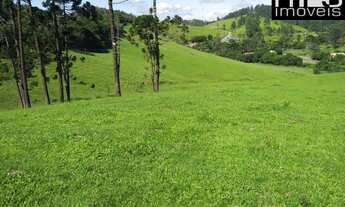 Imagem: Mata Nativa, Clima Frio, Nascentes, Rio