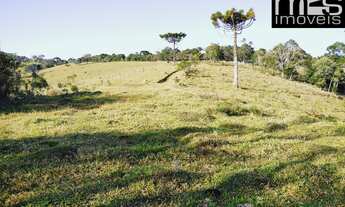 Imagem 4: Sítio à venda em Cunha-SP: 10,55 alqueires na Estrada Cunha x Paraty!