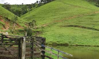 Imagem 6: Pasto bem Formado, 04 Represas, 07 Nascentes, Rio na Divisa com Clima Excelente