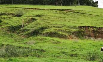 Imagem 5: Pasto bem Formado, 04 Represas, 07 Nascentes, Rio na Divisa com Clima Excelente