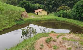 Imagem 7: Pasto bem Formado, 04 Represas, 07 Nascentes, Rio na Divisa com Clima Excelente