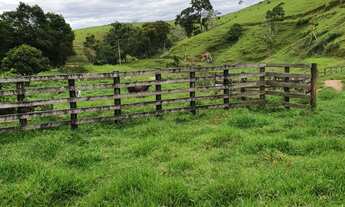 Imagem 4: Pasto bem Formado, 04 Represas, 07 Nascentes, Rio na Divisa com Clima Excelente