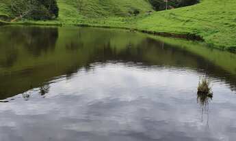 Imagem 2: Pasto bem Formado, 04 Represas, 07 Nascentes, Rio na Divisa com Clima Excelente