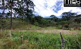 Imagem 2: Próximo ao Asfalto, Matas Nativa e Ciliar, Clima Frio com Nascente e Córrego