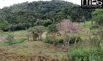 Imagem: Próximo ao Asfalto, Matas Nativa e Ciliar