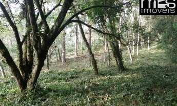 Imagem 6: Próximo ao Asfalto, Matas Nativa e Ciliar, Clima Frio com Nascente e Córrego