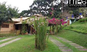 Imagem: Próximo ao Asfalto, Natureza Exuberante