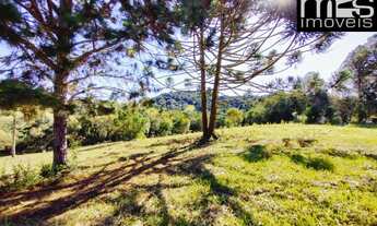 Imagem 5: Oportunidade Única: Sítio à Venda em Cunha-SP, Bairro Campo Alegre, com 324.280,00 m² de Á