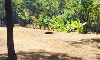 Imagem 5: Chácara à venda em Guaratinguetá-SP, Bairro Bom Jardim II: 3 quartos, 1 sala, 1 banheiro