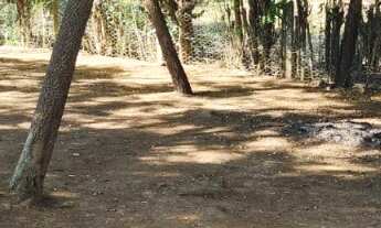 Imagem 7: Chácara à venda em Guaratinguetá-SP, Bairro Bom Jardim II: 3 quartos, 1 sala, 1 banheiro