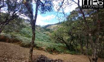 Imagem 6: Chácara à venda em Cunha-SP, bairro Taboão, com 20.000 m² de área, bosque, vista e clima f