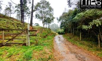 Imagem 2: Chácara à venda em Cunha-SP, bairro Taboão, com 20.000 m² de área: sua oportunidade de viv