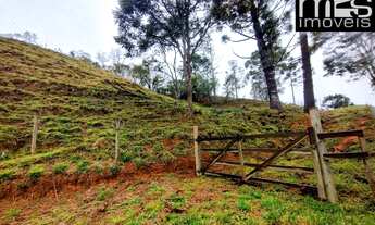 Imagem 3: Chácara à venda em Cunha-SP, bairro Taboão, com 20.000 m² de área: sua oportunidade de viv