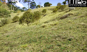 Imagem: Chácara à venda em Cunha-SP, bairro Taboão