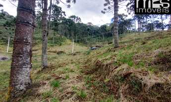 Imagem 5: Chácara à venda em Cunha-SP, bairro Taboão, com 20.000 m² de área, mata ciliar, clima frio