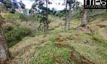 Imagem 2: Chácara à venda em Cunha-SP, bairro Taboão, com 20.000 m² de área, mata ciliar, clima frio