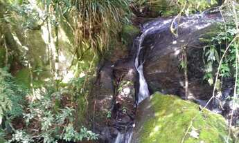 Imagem 4: Oportunidade Única! Sitio à venda em Cunha-SP, bairro Paraibuna, com 401.000,00 m² de área