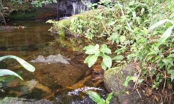 Imagem 2: Oportunidade Única! Sitio à venda em Cunha-SP, bairro Paraibuna, com 401.000,00 m² de área