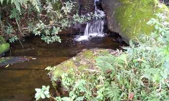 Imagem: Oportunidade Única! Sitio à venda em Cunha-SP