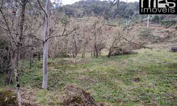 Imagem 4: Chácara à venda em Cunha-SP, bairro Taboão, com 20.000 m² de área, mata ciliar, clima frio