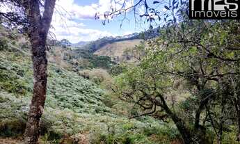 Imagem 5: Chácara à venda em Cunha-SP, bairro Taboão, com 20.000 m² de área, bosque, vista e clima f