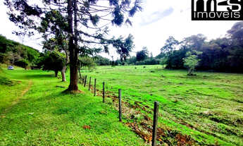 Imagem: Imperdível Sítio à venda em Cunha-SP