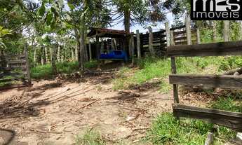 Imagem 3: Terreno de 17,56 alqueires à venda em Cunha-SP, bairro Três Pontes, pasto, nascentes, vist
