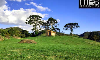 Imagem 4: Chácara à venda em Cunha-SP, bairro Taboão:20.000 m² de área, 1 quarto, 1 sala, 1 banheiro