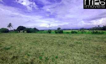 Imagem 5: Chácara à venda em Guaratinguetá-SP: 6.000m² de área no bairro!