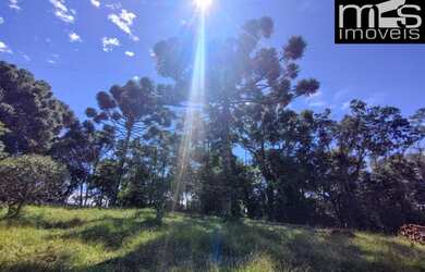 Imagem 3: Chácara à venda em Cunha-SP, bairro Rio Abaixo, 20.000m² de área, vista e clima frio - A o