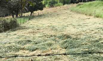 Imagem: Terreno à venda em Cunha-SP, bairro Mantiqueira