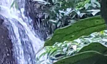 Imagem 2: Sítio à Venda em Guaratinguetá-SP, Bairro Gomeral: Cachoeira 4 Quartos, 3 Suítes, 3 Salas