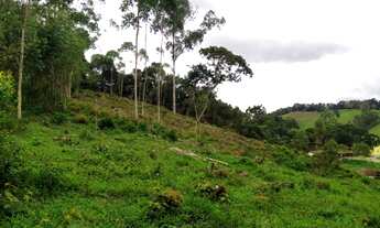 Imagem 7: Chácara à Venda em Cunha-SP, Bairro Paraibuna: 12.000,00 m² de Área Disponíveis!