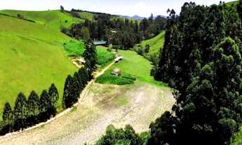 Imagem 3: Fazenda de Luxo à Venda em Cunha-SP, 5 quartos, 5 suítes, 3 banheiros, 131,00 alqueires, D