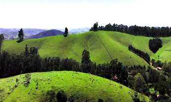 Imagem 6: Fazenda de Luxo à Venda em Cunha-SP, 5 quartos, 5 suítes, 3 banheiros, 131,00 alqueires, D