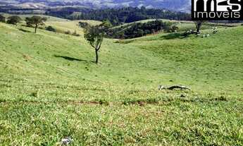 Imagem: Fazenda produtiva à venda em Cunha-SP