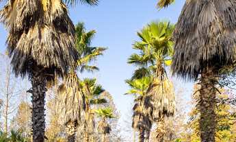 Imagem 3: CASA RESIDENCIAL em JUNDIAÍ - SP, IVOTURUCAIA