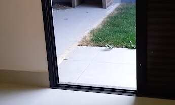 Imagem 2: CASA RESIDENCIAL em Paulinia - SP, Cascata