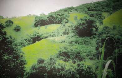 Imagem 3: Sítio com 15 alqueires, 02 casas. Casa principal com 02 quartos, sala, cozinha e banheiro