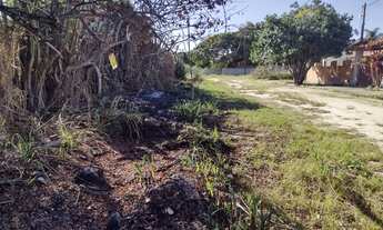 Imagem 7: Excelente terreno com 600m², com luz, escritura, registro, IPTU, tudo ok, a 500 metros do