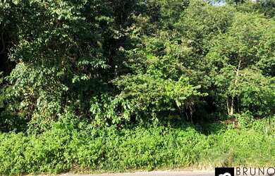 Imagem 7: Terreno com 35.000 m² no Ribeirão da ilha, uma fatia da ilha para você - Floripa/SC