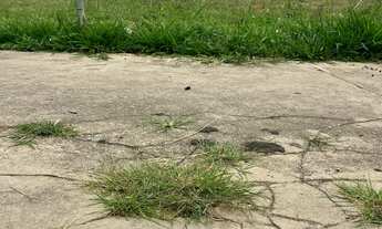 Imagem 2: Terrenos - Salto São José